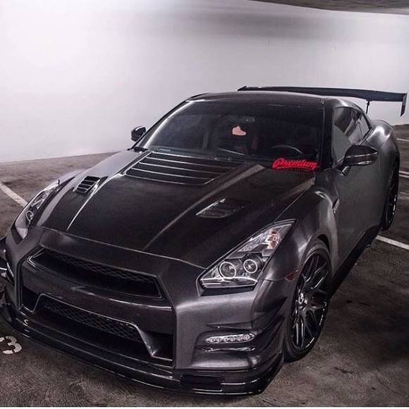 Meet your Posher, Ethan - Picture 1 of 1